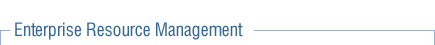 Enterprise Resource Planning